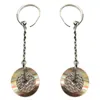 Gc Stainless Steel Women's Earrings In Brown