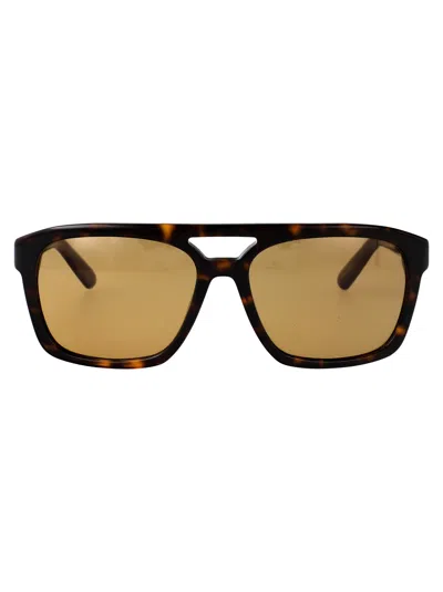 Gcds Avana Scura  / Roviex Acetate Sunglasses