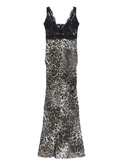 Gcds Lace Leopard Dress In Multi