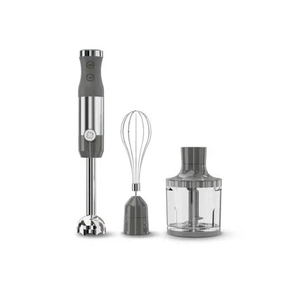 Ge Appliances Ge Immersion Blender With Accessories In Stainless Seel