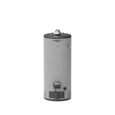 Ge Appliances Ge Realmax Choice 30-gallon Short Liquid Propane Atmospheric Water Heater In Gray