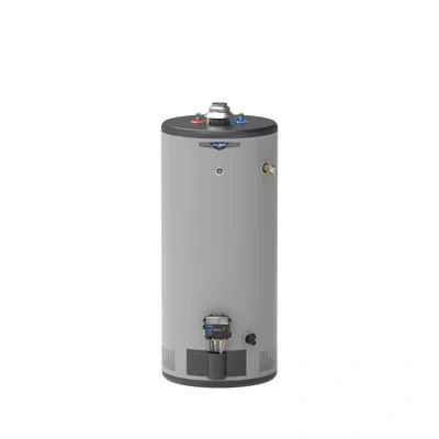 Ge Appliances Ge Realmax Premium 40-gallon Short Liquid Propane Atmospheric Water Heater In Gray
