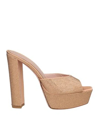 Gedebe Woman Sandals Blush Size 6 Textile Fibers In Neutral