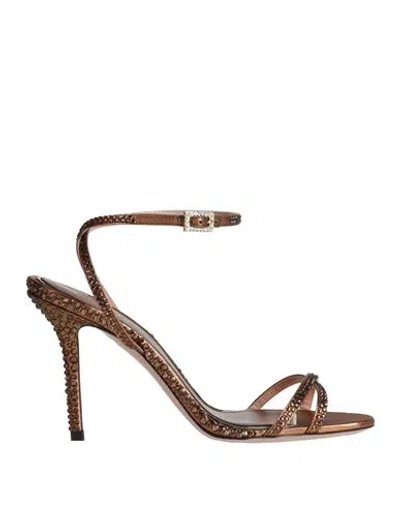 Gedebe Woman Sandals Bronze Size 11 Textile Fibers In Brown
