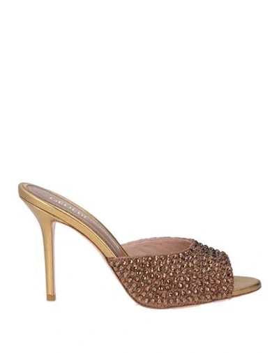 Gedebe Woman Sandals Brown Size 9 Natural Raffia