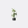 Gejst Vases Black Uni In Black