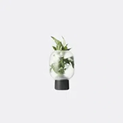 Gejst Vases Black Uni