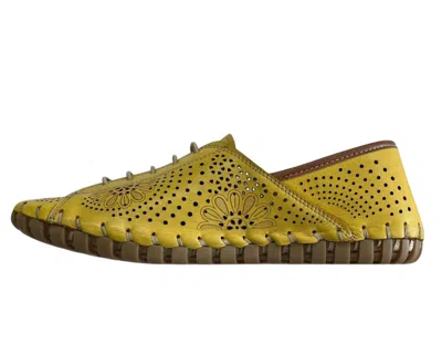 Gelato Women's Theory Lace-up Shoes In Yellow In Gold