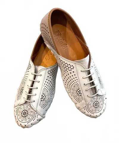 Gelato Women's Theory Vapor Multi Shoes