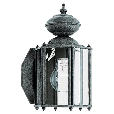 Generation Lighting 59th Street Polished Brass 1-light Outdoor Wall Lantern In Black