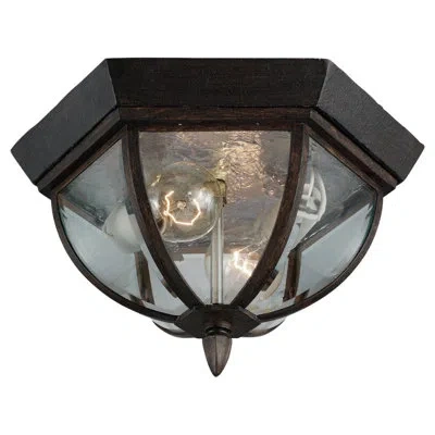 Generation Lighting Ardsley Court 2-light Outdoor Flush Mount In Black,clear