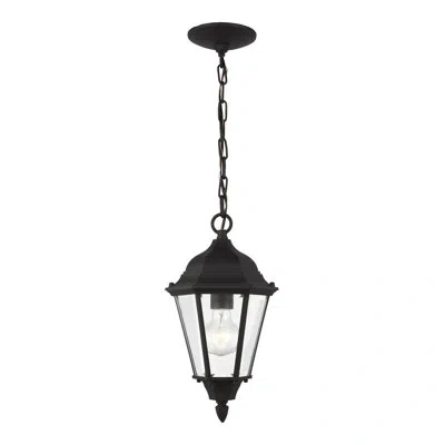 Generation Lighting Bakersville 1 -bulb 14.4" H Outdoor Hanging Lantern In Black,clear Shade