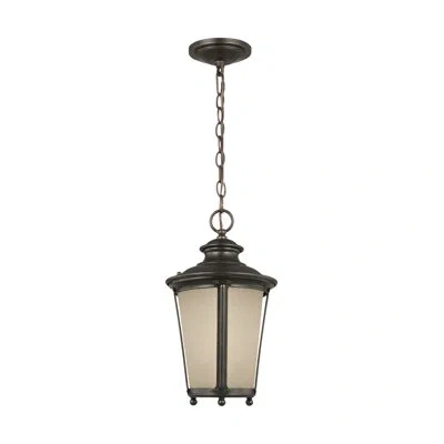 Generation Lighting Cape May 1 -bulb 15.75" H Outdoor Hanging Lantern In Burled Iron