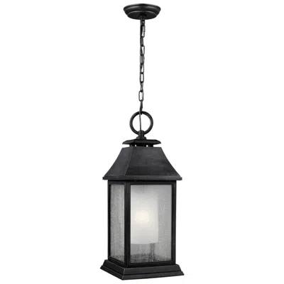 Generation Lighting Shepherd 21" High Dark Zinc Outdoor Hanging Light