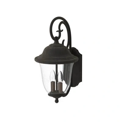 Generation Lighting Trafalgar Oxidized Bronze Outdoor Wall Lantern