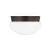 Generation Lighting Webster 2 - Light 9.5" Simple Bowl Flush Mount In Bronze
