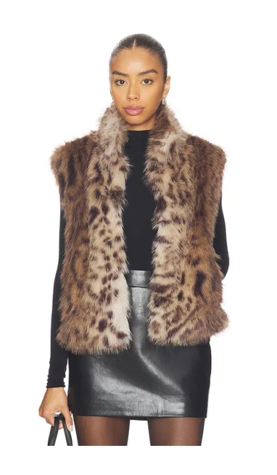 Generation Love Liona Leopard Faux Fur Vest In Winter Leopard