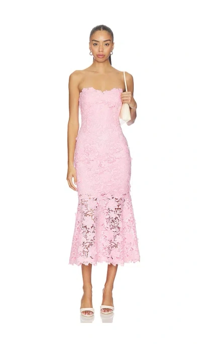Generation Love Makaia 3d Butterfly Lace Dress In Soft Rose