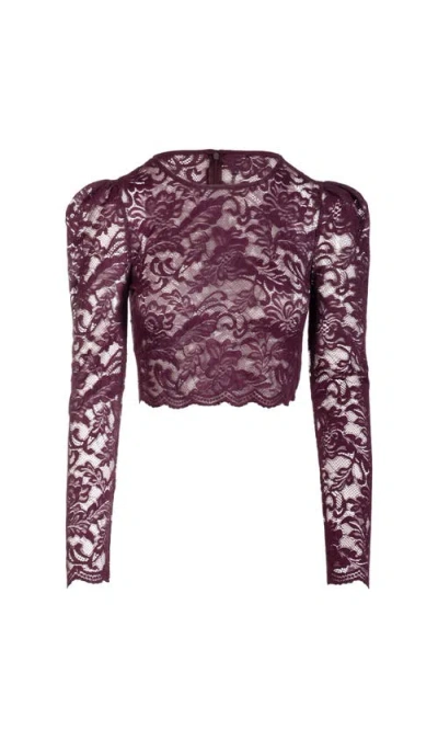 Generation Love Safia Lace Top In Brown