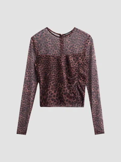 Generation Love Vivi Leopard Mesh Top In Burgundy