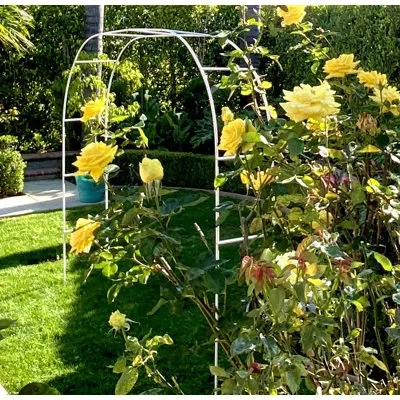 Generic 64'' W X 16'' D Metal Arbor In Black