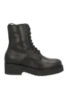 Geneve Woman Ankle Boots Black Size 8 Calfskin In Black