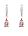 Genevive 18k Rose Gold Vermeil Cz Drop Earrings