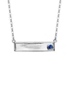 Genevive Bar Necklace