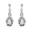 Genevive Jewelry Women's Sterling Silver White Gold Plated Clear Cubic Zirconia Drop Earrings In White