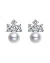 Genevive Silver Cz Earrings