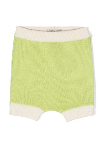 Gensami Babies' Contrast-trim Knitted Shorts In Green