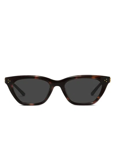 Gentle Monster Gisele T1 Sunglasses In Brown