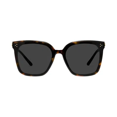 Pre-owned Gentle Monster New Her T1 Sunglasses 'black' | Men's Size Onesize