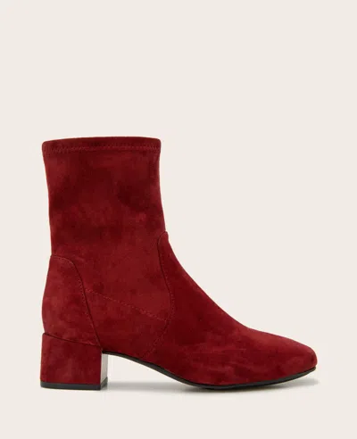 Gentle Souls - Ella Micro Suede Stretch Bootie In Burgundy