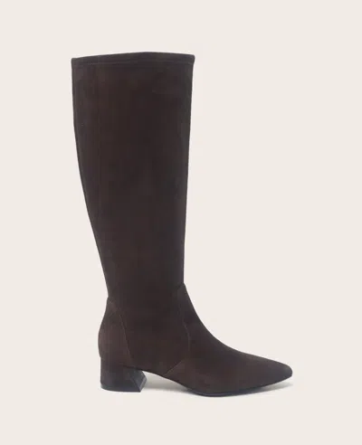 Gentle Souls - Gallway Micro Suede Tall Stretch Boot In Brown
