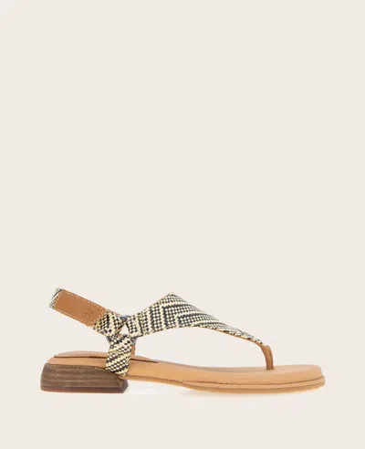 Gentle Souls - Holly Raffia Ankle Strap Thong In Black,tan Raffia