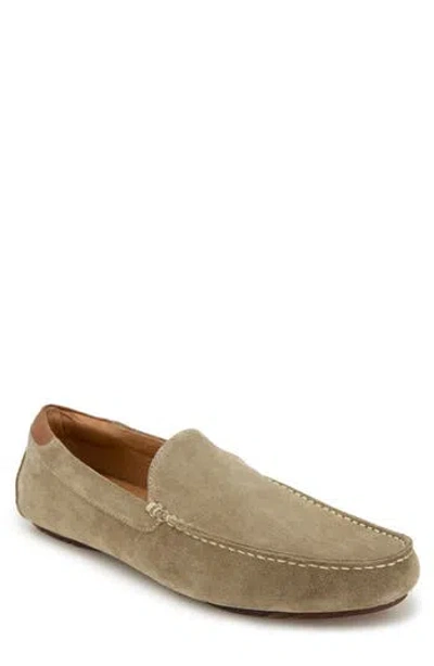 Gentle Souls By Kenneth Cole Nyle Driver In Taupe