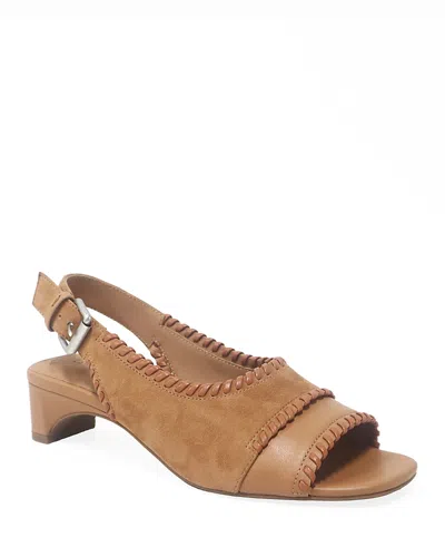 Gentle Souls By Kenneth Cole Samarra In Brown