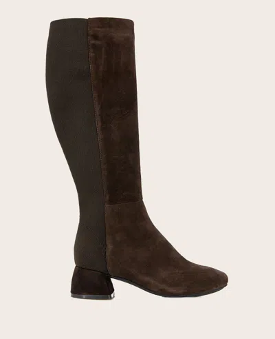 Gentle Souls - Emily Micro Suede Stretch Boot In Chocolate Suede