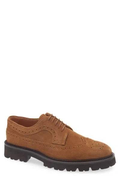 Gentle Souls Faro Wingtip Brogue Derby In Multi