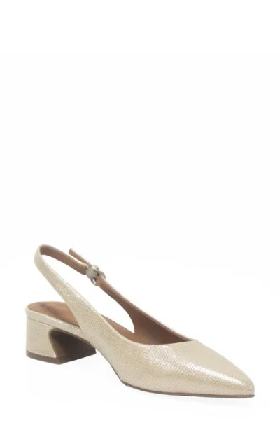 GENTLE SOULS GENTLE SOULS GEORGIA SLINGBACK POINTED TOE PUMP