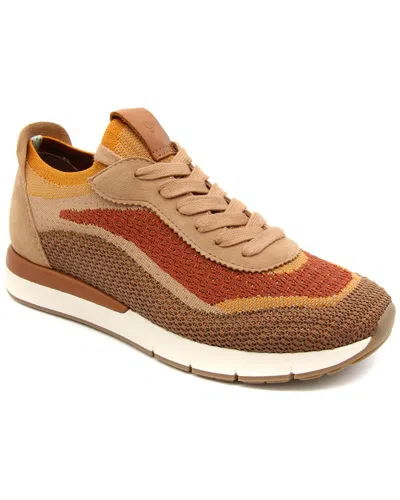 Gentle Souls Juno Leather Sneaker In Brown Multi Knit