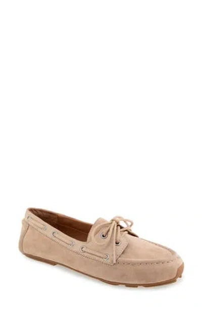 Gentle Souls Marina Mule