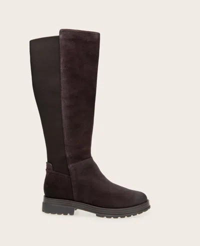 Gentle Souls - Prescila Suede Knit Tall Boot In Chocolate Suede