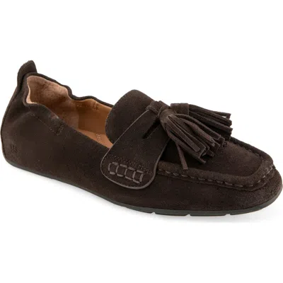 Gentle Souls Sophie Kiltie Driving Loafer In Brown
