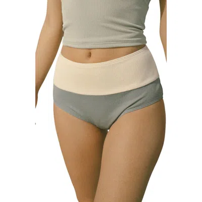Geode Swimwear Havasu High Waisted Bikini Bottoms In Gray