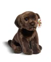 Geoffrey's Toy Box 10" Golden Labrador Puppy Dog Toy, Created For Macy's In Medium Beige