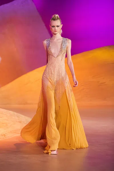 Georges Hobeika Lace And Georgette Ombre Gown