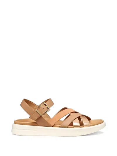 Geox 샌드 2s 샌들 In Brown
