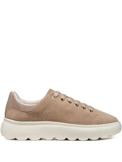 Geox 50mm Spherica Ec4.1 Sneakers In Brown